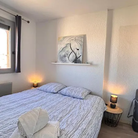 Avec Vue Sur De Type T2 Location Arrivee A Partir De 15h Depart Maximum A 11h Location Du Samedi Au Samedi Juillet Et Aout Appartement *
